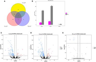 Differentially Expressed MiRNAs of Goat Submandibular Glands Among Three Developmental Stages Are Involved in Immune Functions